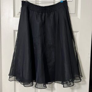 Willow Ridge Black A-Line Skirt
